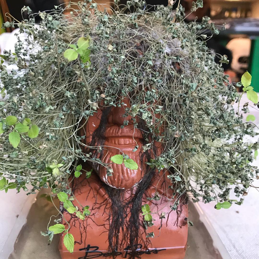 My Friend's Bob Ross Chia Pet After Returning to School from